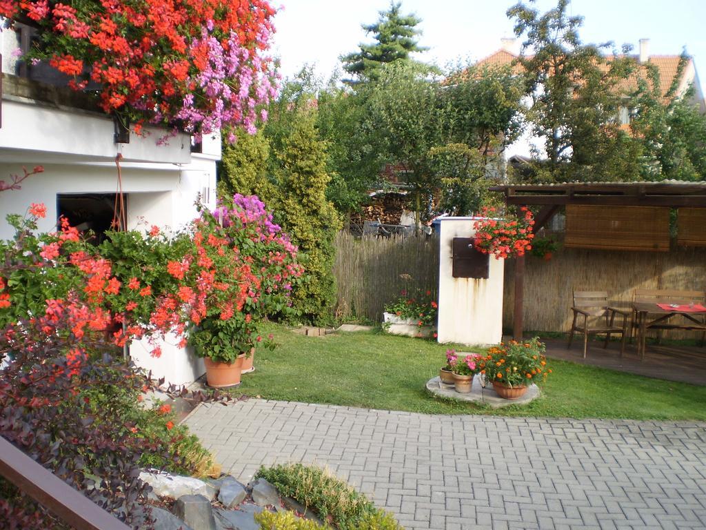 Apartment Za Postou Belkovice 外观 照片